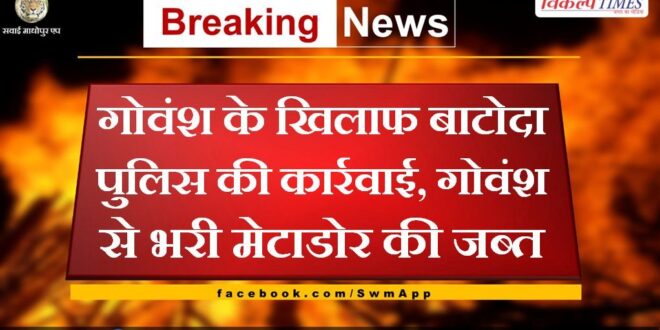 Batoda police station action against cattle