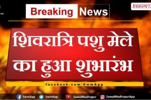 Shivratri animal fair started in karauli