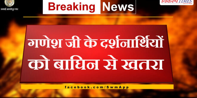 The danger to the visitors of Ganesh ji from the tigress in ranthambore