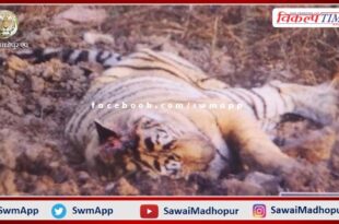 Tigress T-19 Krishna died in ranthambore national park