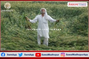 Crops damaged due to rain and hail will get proper compensation