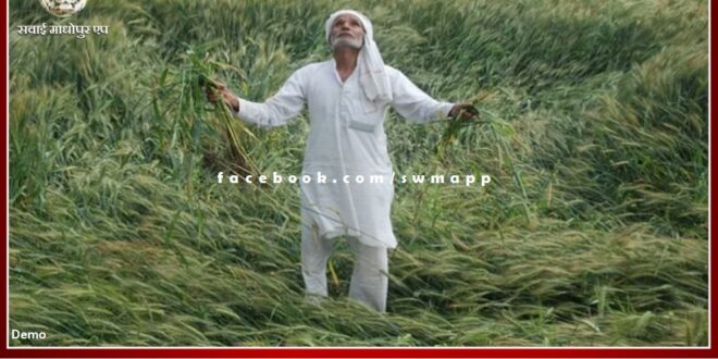 Crops damaged due to rain and hail will get proper compensation