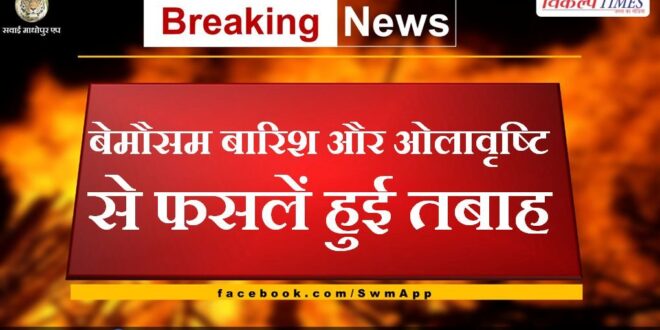 Crops destroyed due to unseasonal rain and hailstorm in bamanwas