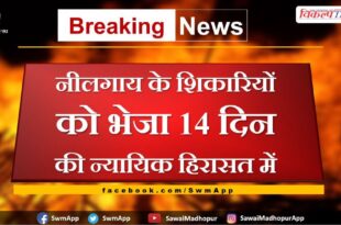 Sawai Madhopur News Nilgai poachers sent to 14 days judicial custody