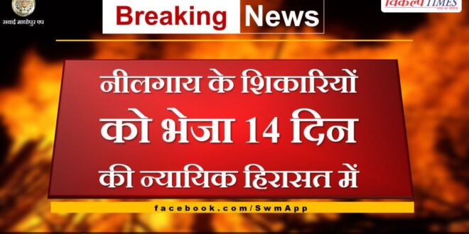 Sawai Madhopur News Nilgai poachers sent to 14 days judicial custody