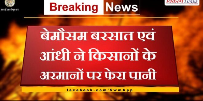 Unseasonal rain and storm turned water on the hopes of the farmers in sawai madhopur