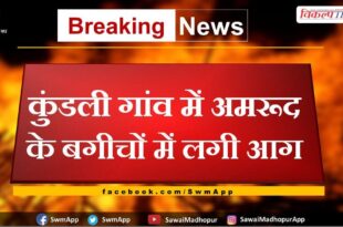 Guava orchards caught fire in Kundli village malarna dungar