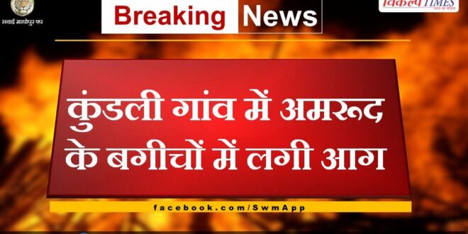 Guava orchards caught fire in Kundli village malarna dungar
