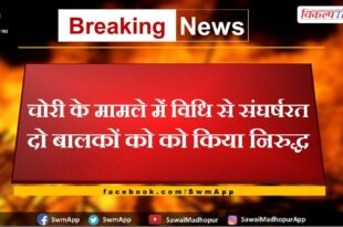 In the case of theft, two boys struggling with the law were detained in sawai madhopur