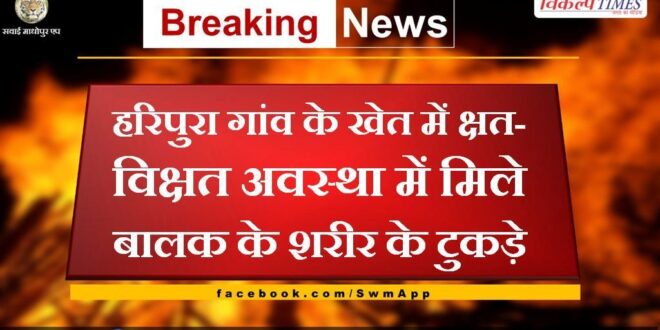 News News From bonli sawai madhopur