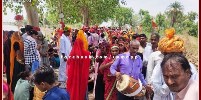 21 Peepal mothers got married in sawai madhopur