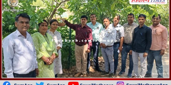 Birds tied under Dana Pani Mission in sawai madhopur
