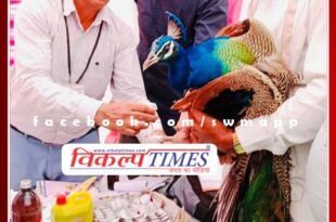 Not only humans but birds are also getting relief in Mehangai Raahat camp