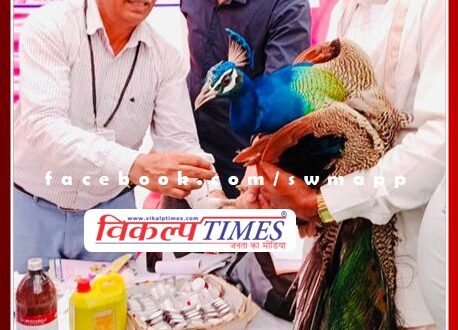 Not only humans but birds are also getting relief in Mehangai Raahat camp