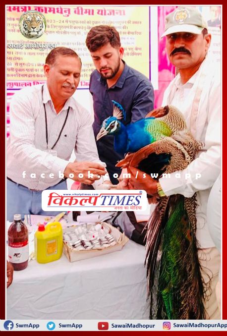 Not only humans but birds are also getting relief in Mehangai Raahat camp