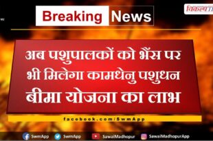 Now cattle herders will also get the benefit of Kamdhenu Pashudhan Bima Yojana on buffaloes in rajasthan