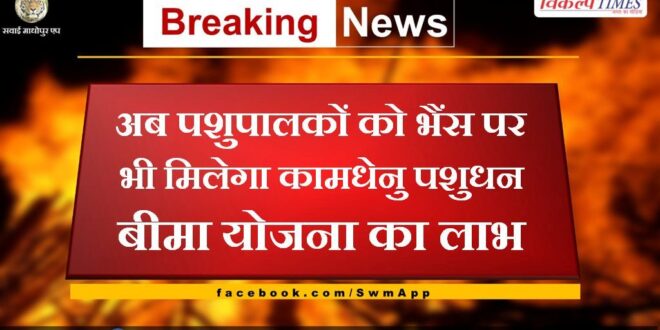 Now cattle herders will also get the benefit of Kamdhenu Pashudhan Bima Yojana on buffaloes in rajasthan