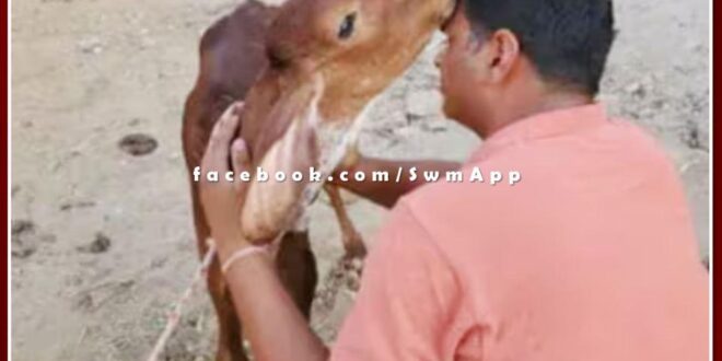 This IITian man from Gangapur city sawai madhopur who left his job worth crores to sell milk