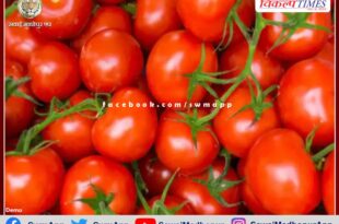 Tomato turned red, the price reached from 80 to 100 rupees per kg