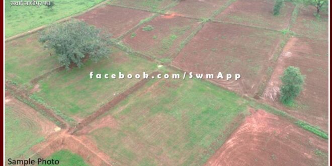 Demand to cancel the lease issued by the city council on Khatedari agricultural land in sawai madhopur