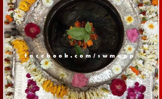 Devotees of Bhole gathered in Dwadash Jyotirlinga Mahadev Temple