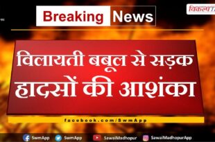 Fear of road accidents due to exotic acacia