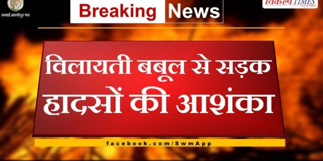 Fear of road accidents due to exotic acacia