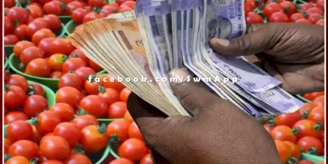Indian farmer became a millionaire by selling tomatoes, Bhagoji Gaikar earned Rs 1.5 crore by selling tomatoes in pune maharashtra