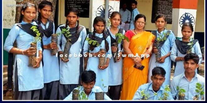 Message of saving environment given by tree plantation in sawai madhopur