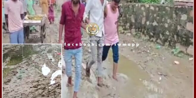 Sawai Madhopur Nagar Parishad condition of the chairman's ward