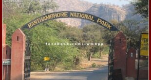 Section 144 implemented to stop illegal grazing in Ranthambore