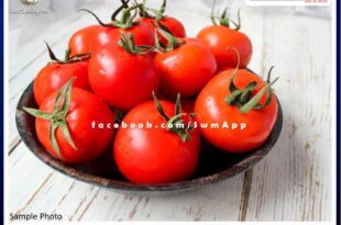 Wife left the house in anger after putting more tomatoes in the vegetable in madhya pradesh