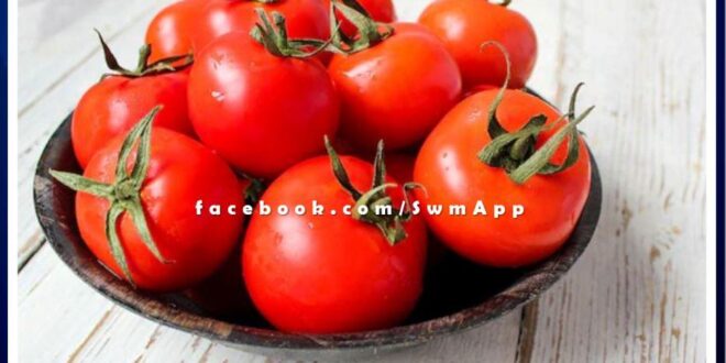 Wife left the house in anger after putting more tomatoes in the vegetable in madhya pradesh