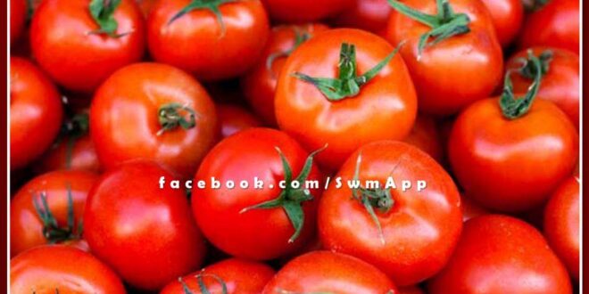 india news Central government took this decision amid skyrocketing tomato prices