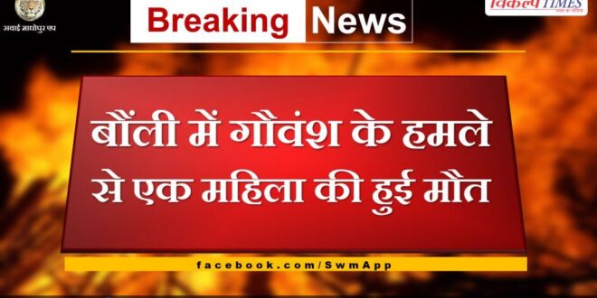 A woman died after being attacked by a cow in bonli sawai madhopur