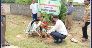 Under the Green Justice Campaign, tree plantation was done in the state communication and juvenile home premises Sawai Madhopur
