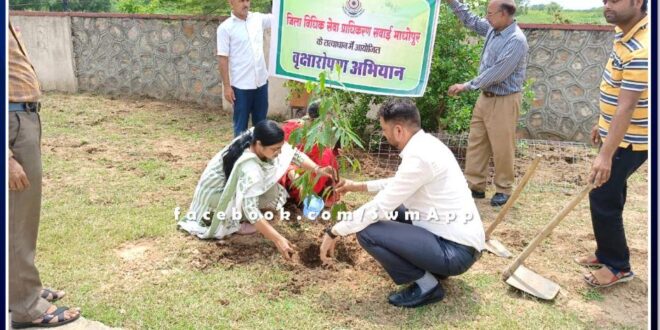 Under the Green Justice Campaign, tree plantation was done in the state communication and juvenile home premises Sawai Madhopur