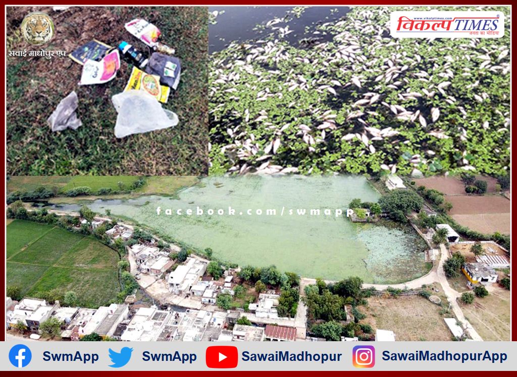 Baharwanda Khurd's lotus pond becomes poisonous pond