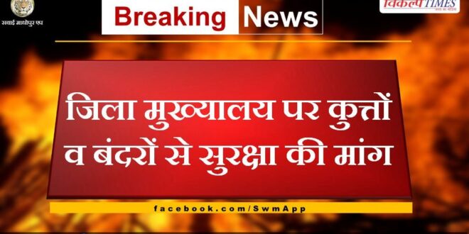 Demand for protection from dogs and monkeys at the district headquarters Sawai Madhopur
