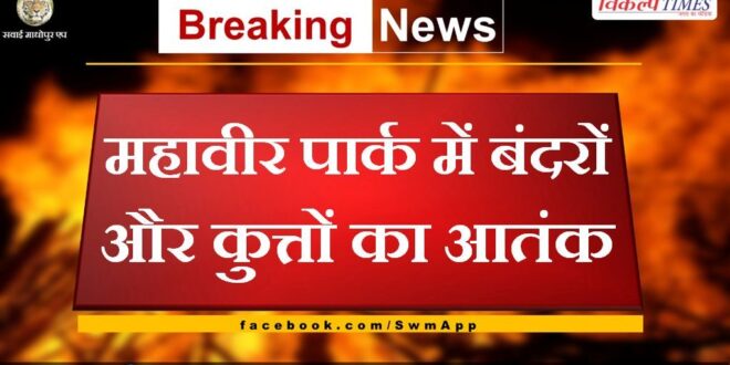 Terror of monkeys and dogs in Mahavir Park Sawai Madhopur