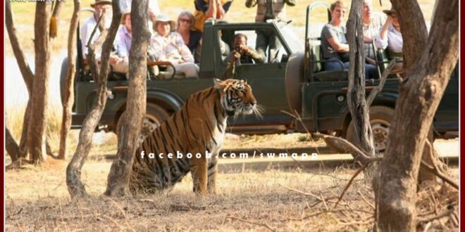 Boarding passes will again be issued to tourists visiting Ranthambore