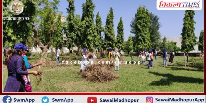 Volunteers donated labor in the college campus
