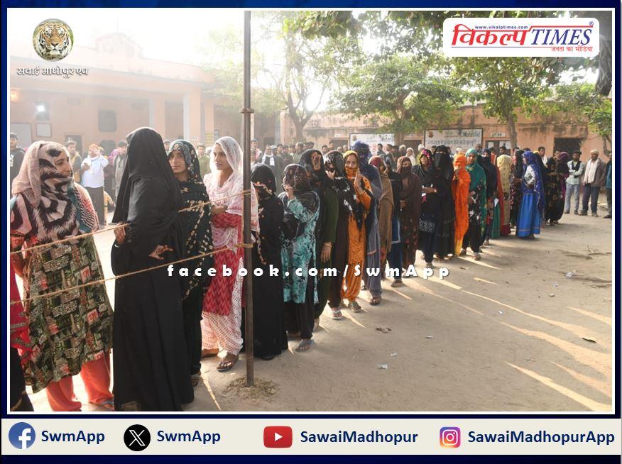 65.33 percent voting took place till 5 pm in the four assembly constituencies of Sawai Madhopur and Gangapur City