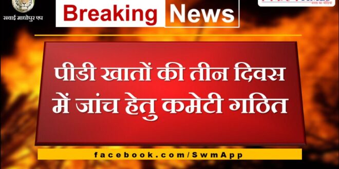 Committee formed to investigate PD accounts in three days in sawai madhopur