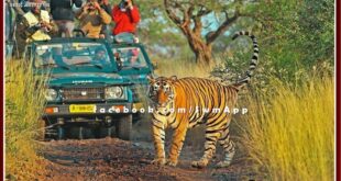 Demand for investigation into arbitrariness and fraud in the name of online booking in Ranthambore