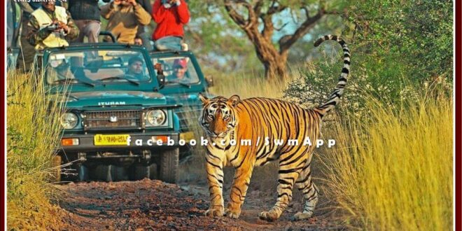Demand for investigation into arbitrariness and fraud in the name of online booking in Ranthambore