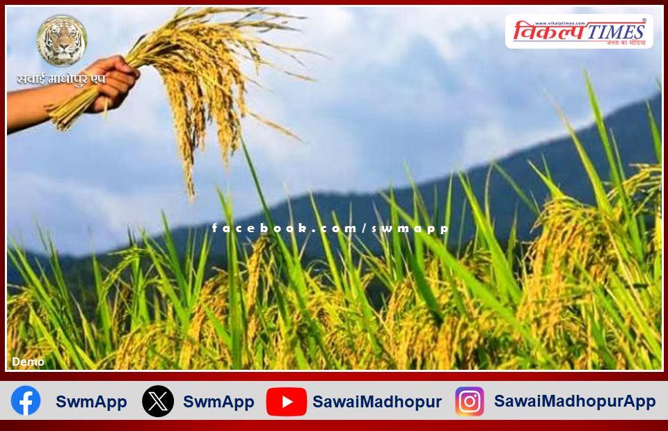 Get insurance for Rabi crops under Pradhan Mantri Fasal Bima Yojana till 31st December
