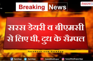 Ghee and milk samples taken from Saras Dairy and BMC in sawai madhopur