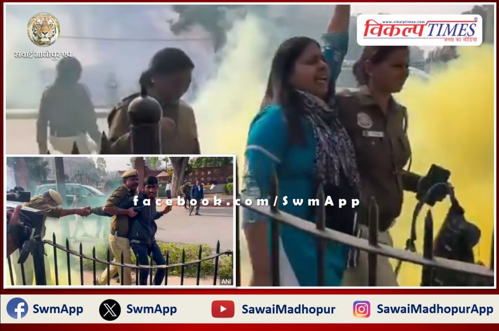 Man and woman who threw smoke outside Parliament and were raising slogans arrested
