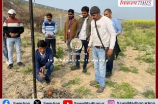 Saplings planted near Kustla Toll in sawai madhopur